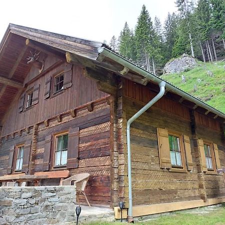 Siegel Almhuette Villa Zederhaus Exterior photo