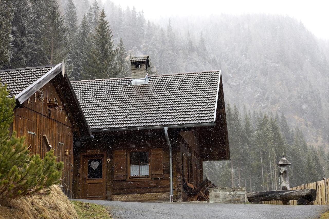 Siegel Almhuette Villa Zederhaus Exterior photo